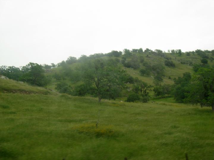 19-Vers Sequoia 0002.JPG